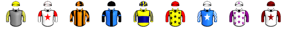 Runner silk