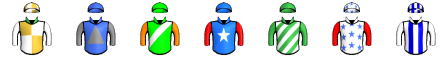 Runner silk