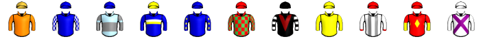 Runner silk