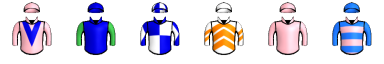 Runner silk