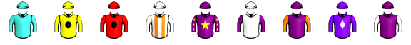 Runner silk