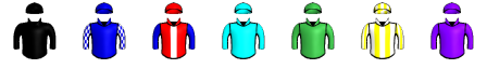 Runner silk