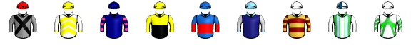Runner silk