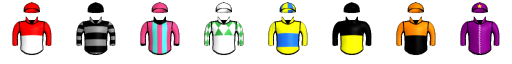 Runner silk
