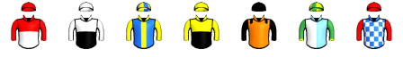 Runner silk