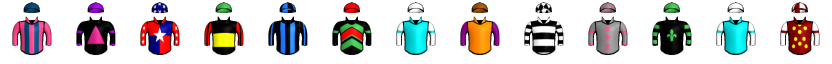 Runner silk