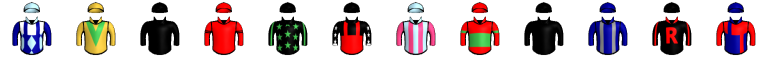 Runner silk