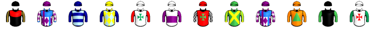 Runner silk