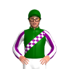 Jockey Silk