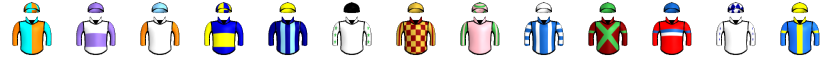 Runner silk