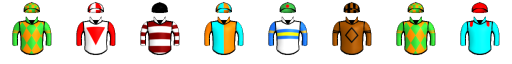 Runner silk