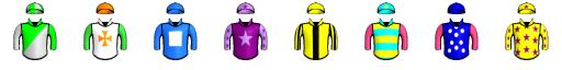 Runner silk