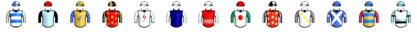 Runner silk