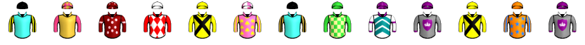 Runner silk