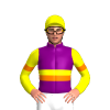 Jockey Silk