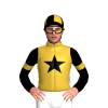 Jockey Silk