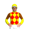 Jockey Silk