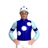 Jockey Silk