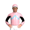 Jockey Silk