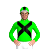 Jockey Silk