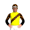 Jockey Silk