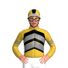 Jockey Silk