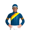Jockey Silk
