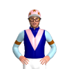 Jockey Silk