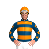 Jockey Silk