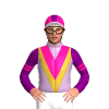 Jockey Silk
