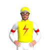 Jockey Silk