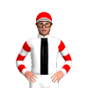 Jockey Silk