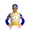 Jockey Silk