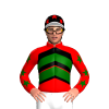 Jockey Silk