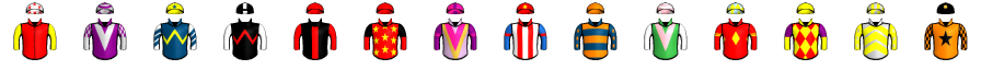 Runner silk