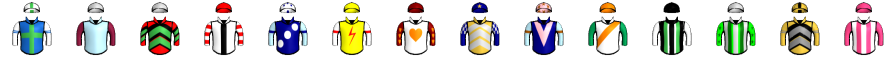 Runner silk
