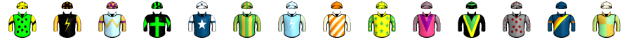 Runner silk