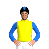 Jockey Silk
