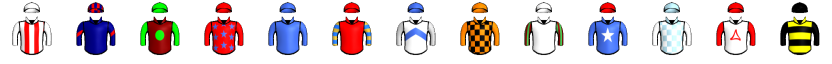 Runner silk
