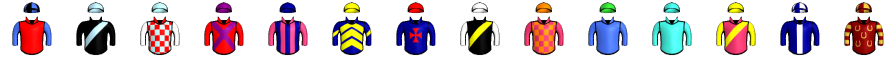 Runner silk