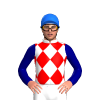 Jockey Silk