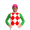 Jockey Silk