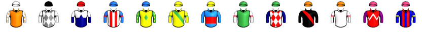 Runner silk