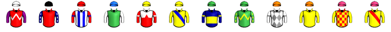 Runner silk