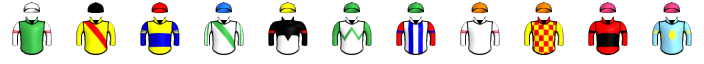 Runner silk