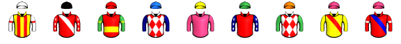 Runner silk