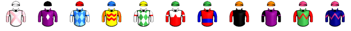 Runner silk