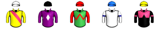Runner silk