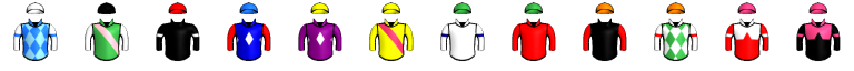 Runner silk