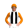 Jockey Silk